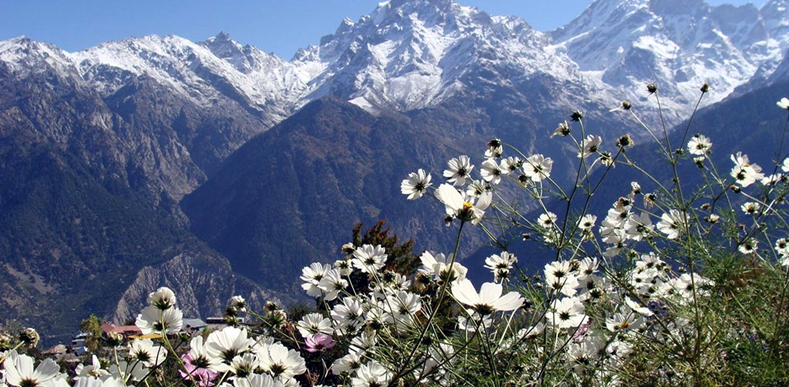 Shimla Kinnaur Spiti Manali Shimla Kinnaur Spiti Manali