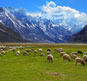 Jammu & Kashmir Tour Package
